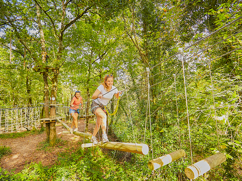 Tree climbing activity for the whole family