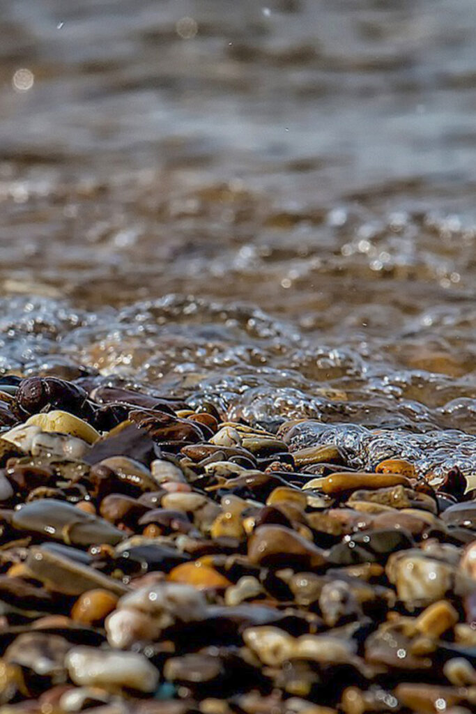 Swimming in the river of Anduze